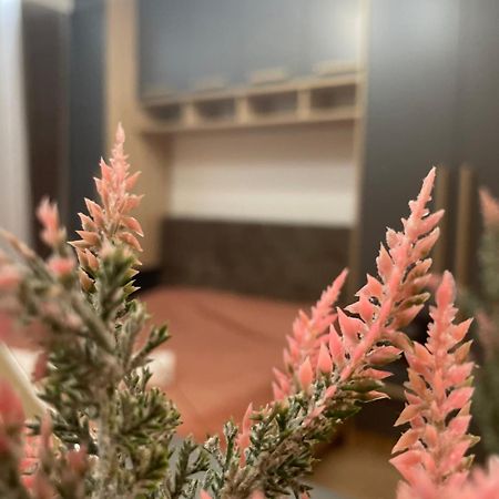 Daf Apartaments Priştine Dış mekan fotoğraf