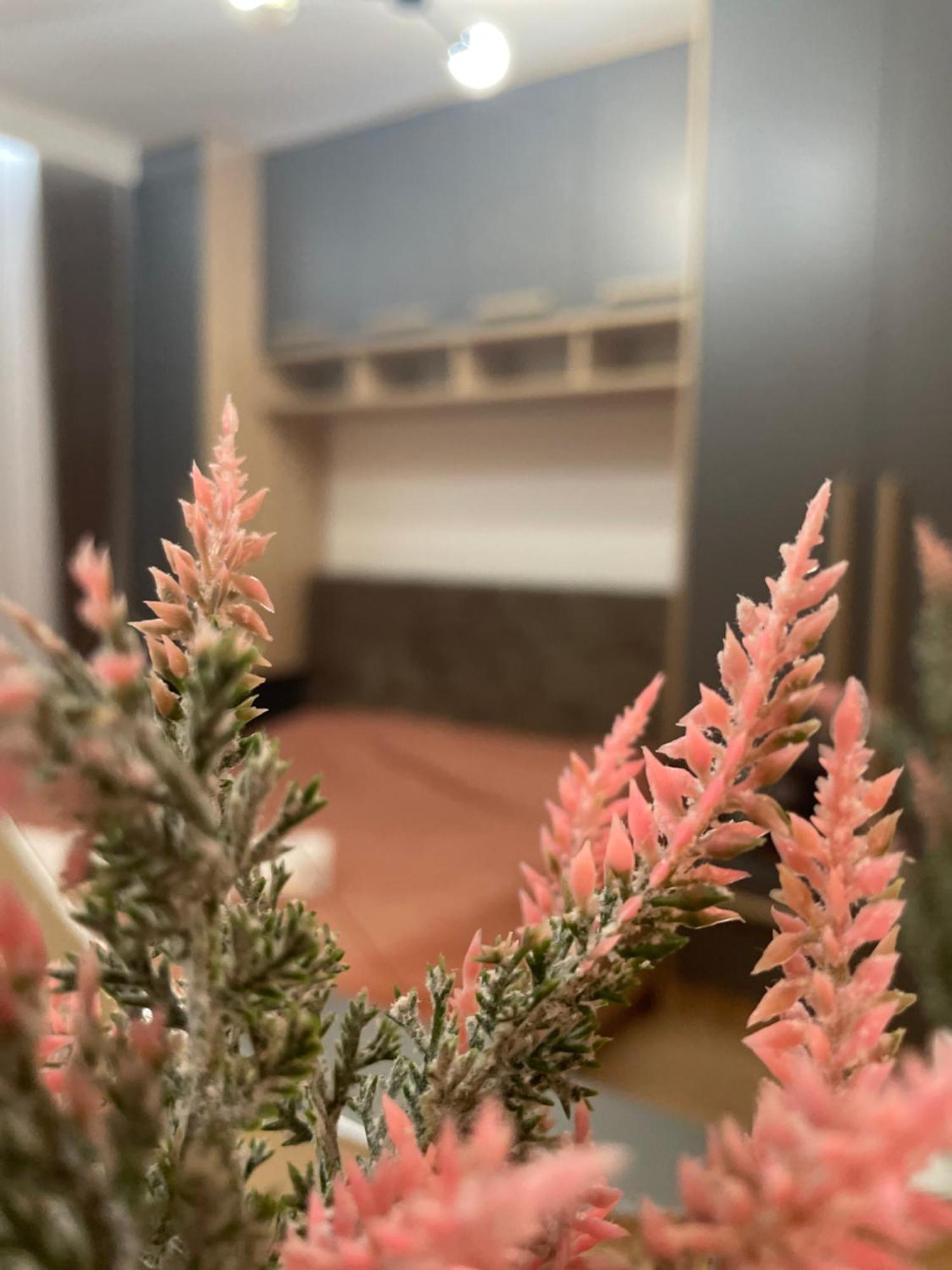 Daf Apartaments Priştine Dış mekan fotoğraf